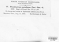 Image Associated With the Occurence